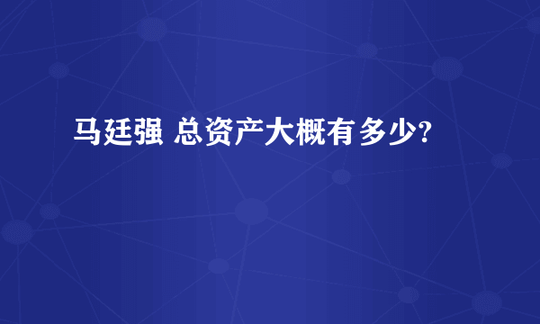 马廷强 总资产大概有多少?