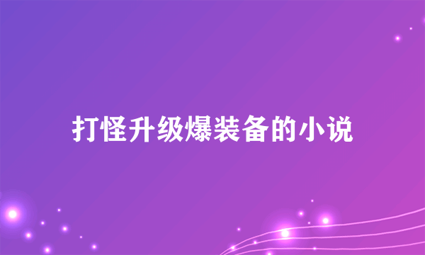 打怪升级爆装备的小说