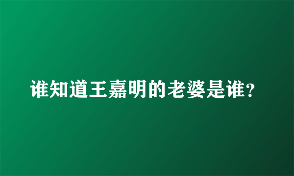 谁知道王嘉明的老婆是谁？