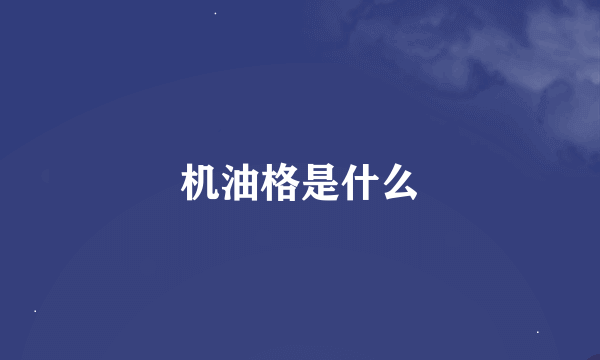 机油格是什么