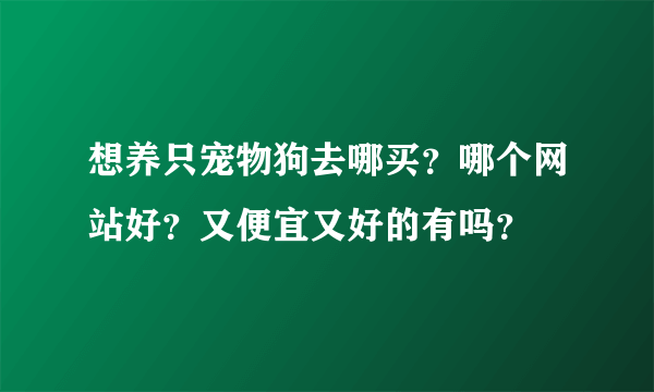 想养只宠物狗去哪买？哪个网站好？又便宜又好的有吗？