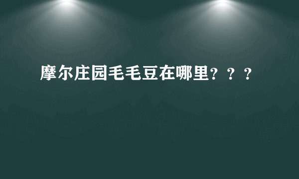 摩尔庄园毛毛豆在哪里？？？