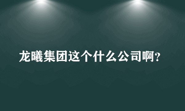 龙曦集团这个什么公司啊？