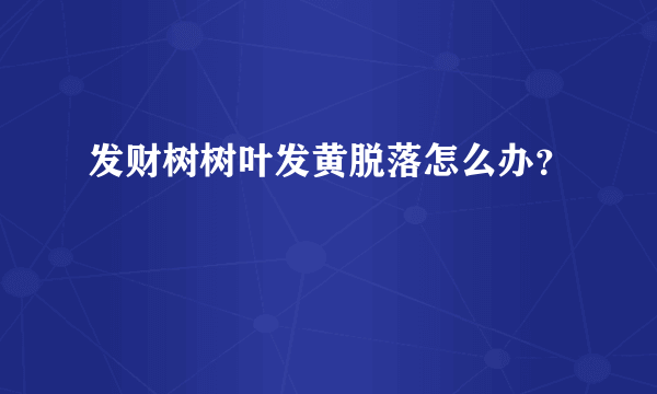 发财树树叶发黄脱落怎么办？