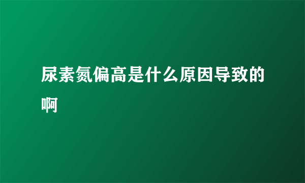 尿素氮偏高是什么原因导致的啊