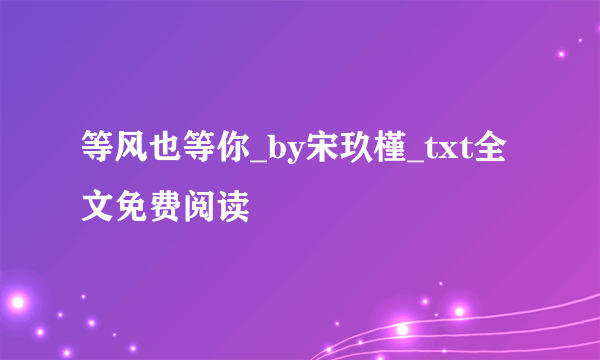 等风也等你_by宋玖槿_txt全文免费阅读