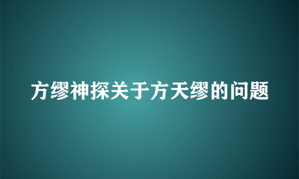 方缪神探关于方天缪的问题