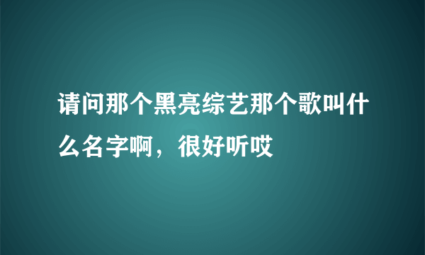 请问那个黑亮综艺那个歌叫什么名字啊，很好听哎