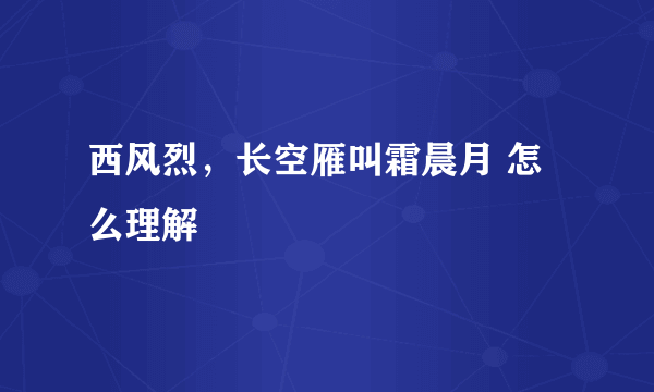 西风烈，长空雁叫霜晨月 怎么理解