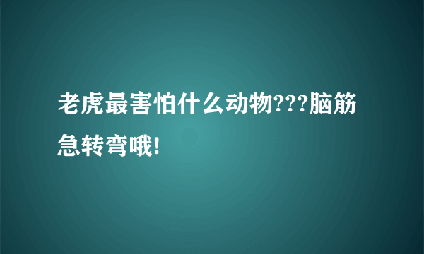 老虎最害怕什么动物???脑筋急转弯哦!