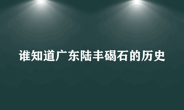 谁知道广东陆丰碣石的历史