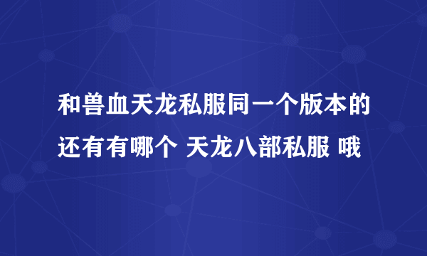 和兽血天龙私服同一个版本的还有有哪个 天龙八部私服 哦