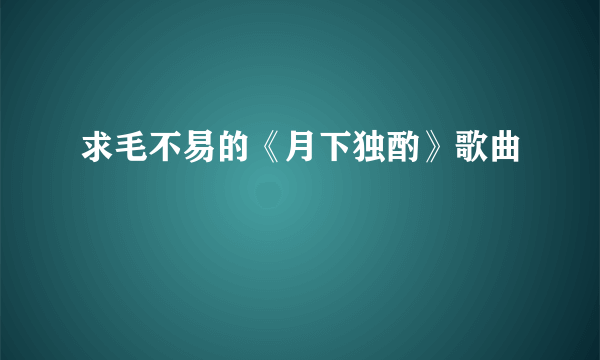 求毛不易的《月下独酌》歌曲