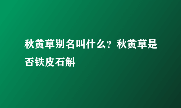 秋黄草别名叫什么？秋黄草是否铁皮石斛