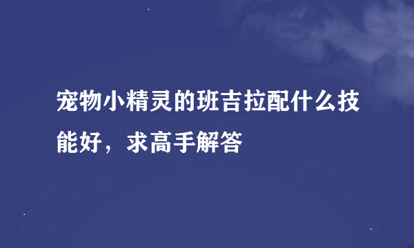 宠物小精灵的班吉拉配什么技能好，求高手解答