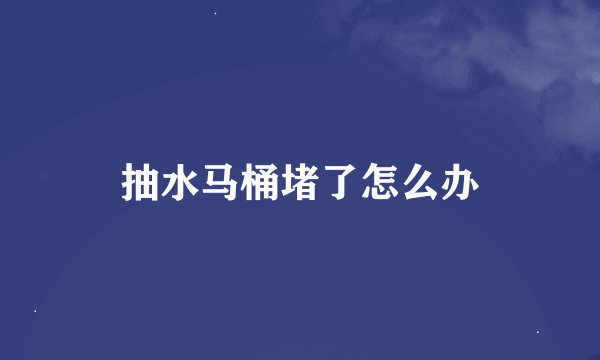 抽水马桶堵了怎么办