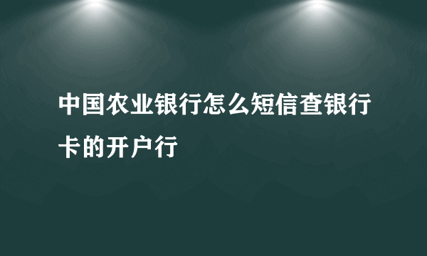 中国农业银行怎么短信查银行卡的开户行