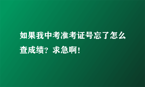 如果我中考准考证号忘了怎么查成绩？求急啊！