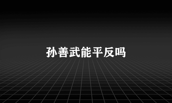 孙善武能平反吗