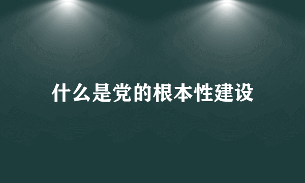 什么是党的根本性建设