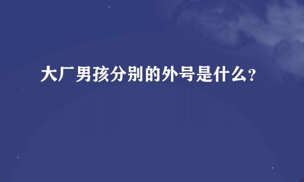 大厂男孩分别的外号是什么？