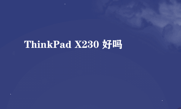 ThinkPad X230 好吗