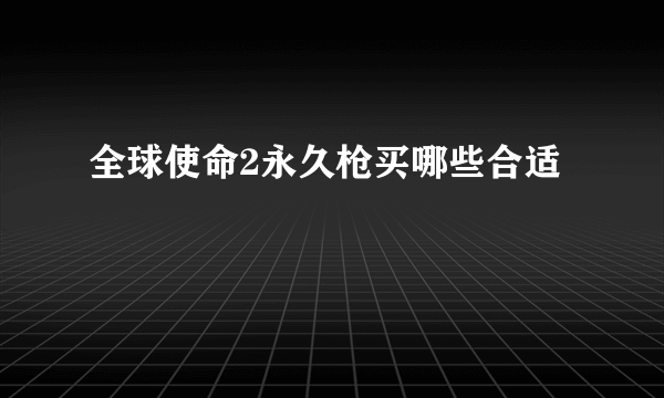 全球使命2永久枪买哪些合适