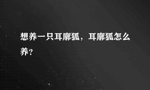 想养一只耳廓狐，耳廓狐怎么养？