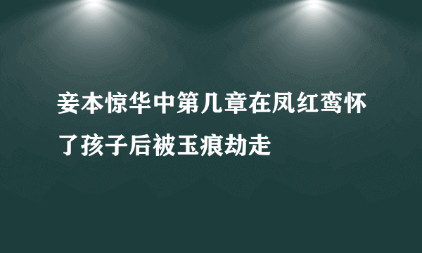 妾本惊华中第几章在凤红鸾怀了孩子后被玉痕劫走