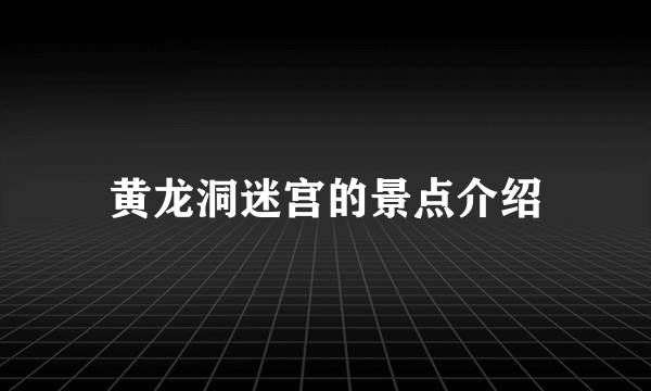 黄龙洞迷宫的景点介绍