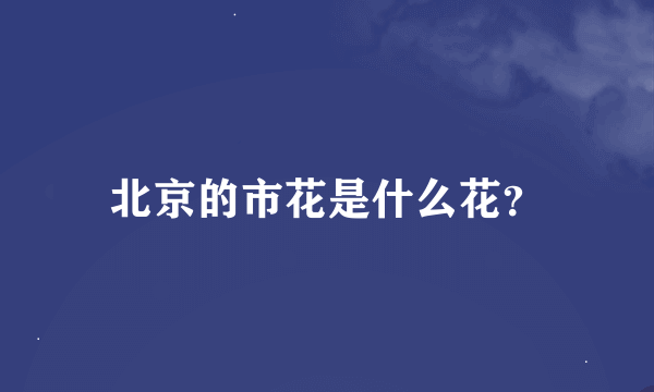 北京的市花是什么花？