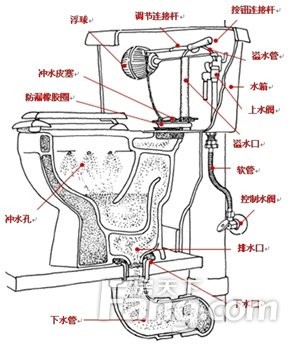 马桶构造图