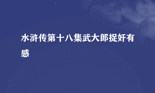 水浒传第十八集武大郎捉奸有感