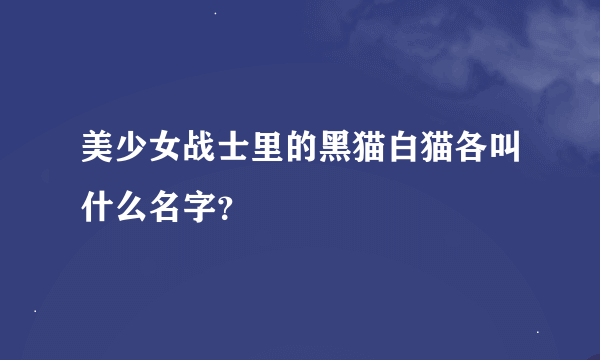 美少女战士里的黑猫白猫各叫什么名字？