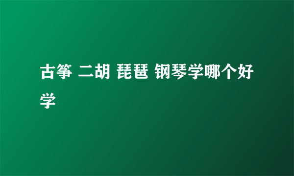 古筝 二胡 琵琶 钢琴学哪个好学