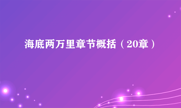 海底两万里章节概括（20章）