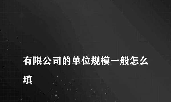 
有限公司的单位规模一般怎么填
