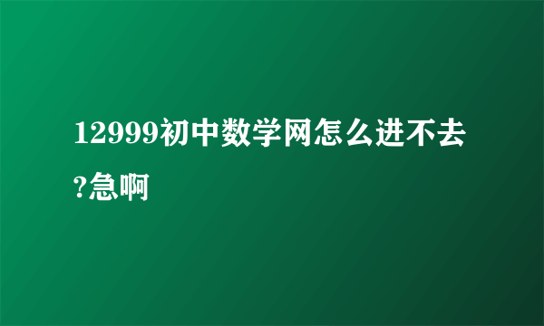 12999初中数学网怎么进不去?急啊