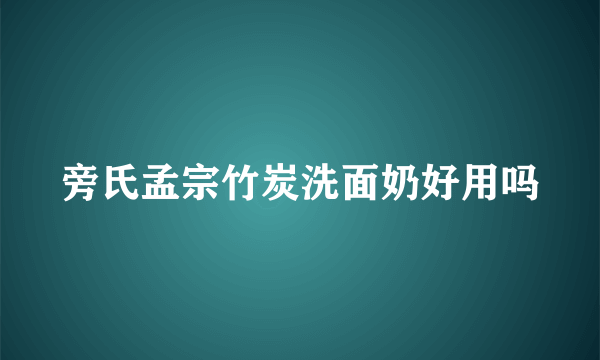 旁氏孟宗竹炭洗面奶好用吗