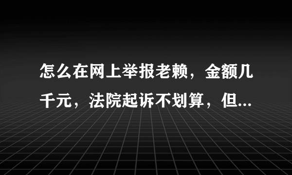 怎么在网上举报老赖，金额几千元，法院起诉不划算，但是不又不想他们逍遥法外