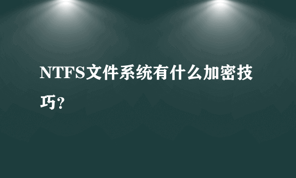 NTFS文件系统有什么加密技巧？