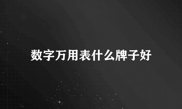 数字万用表什么牌子好