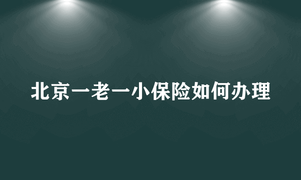 北京一老一小保险如何办理