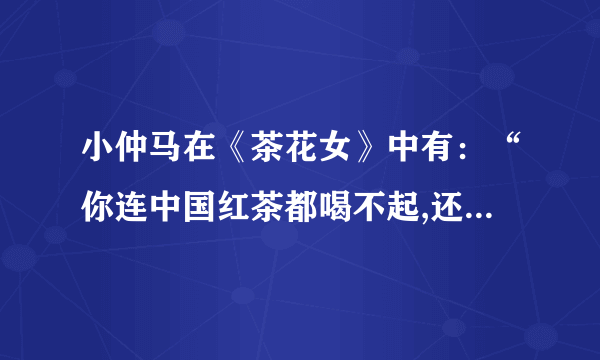 小仲马在《茶花女》中有：“你连中国红茶都喝不起,还算什么贵族。”这句台词么？