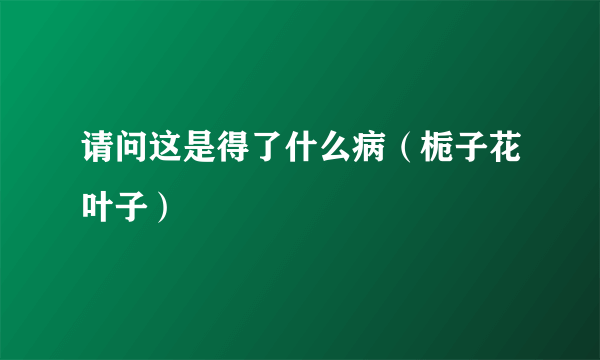 请问这是得了什么病（栀子花叶子）