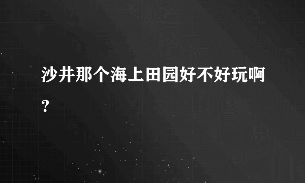 沙井那个海上田园好不好玩啊？