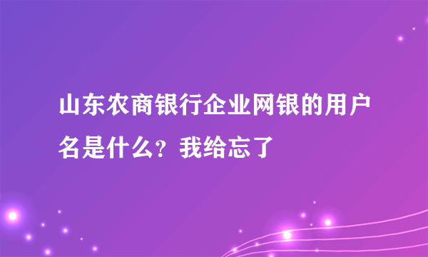 山东农商银行企业网银的用户名是什么？我给忘了