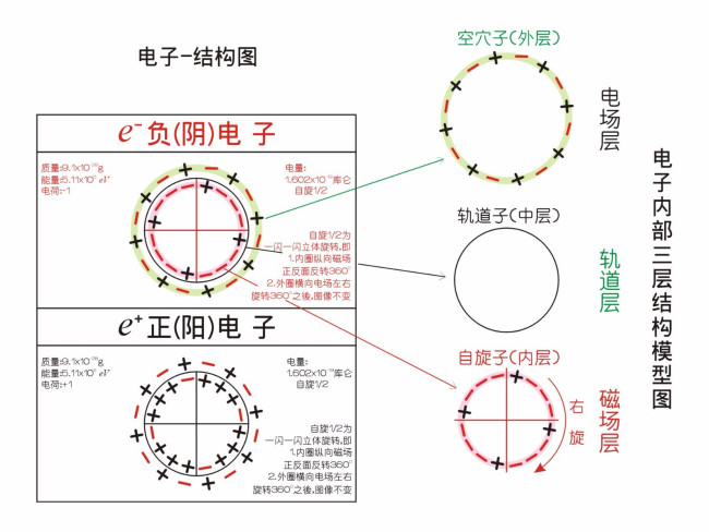 原子核核外电子是由什么组成的