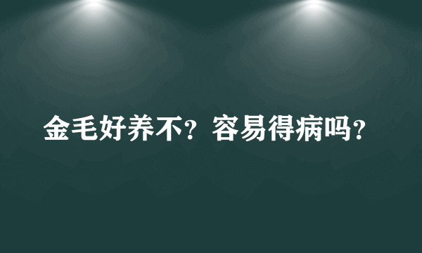 金毛好养不？容易得病吗？