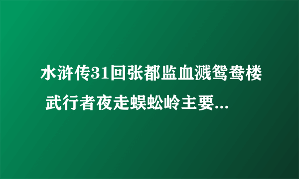 水浒传31回张都监血溅鸳鸯楼 武行者夜走蜈蚣岭主要内容150字以上并评价武松这个人（不要网摘）